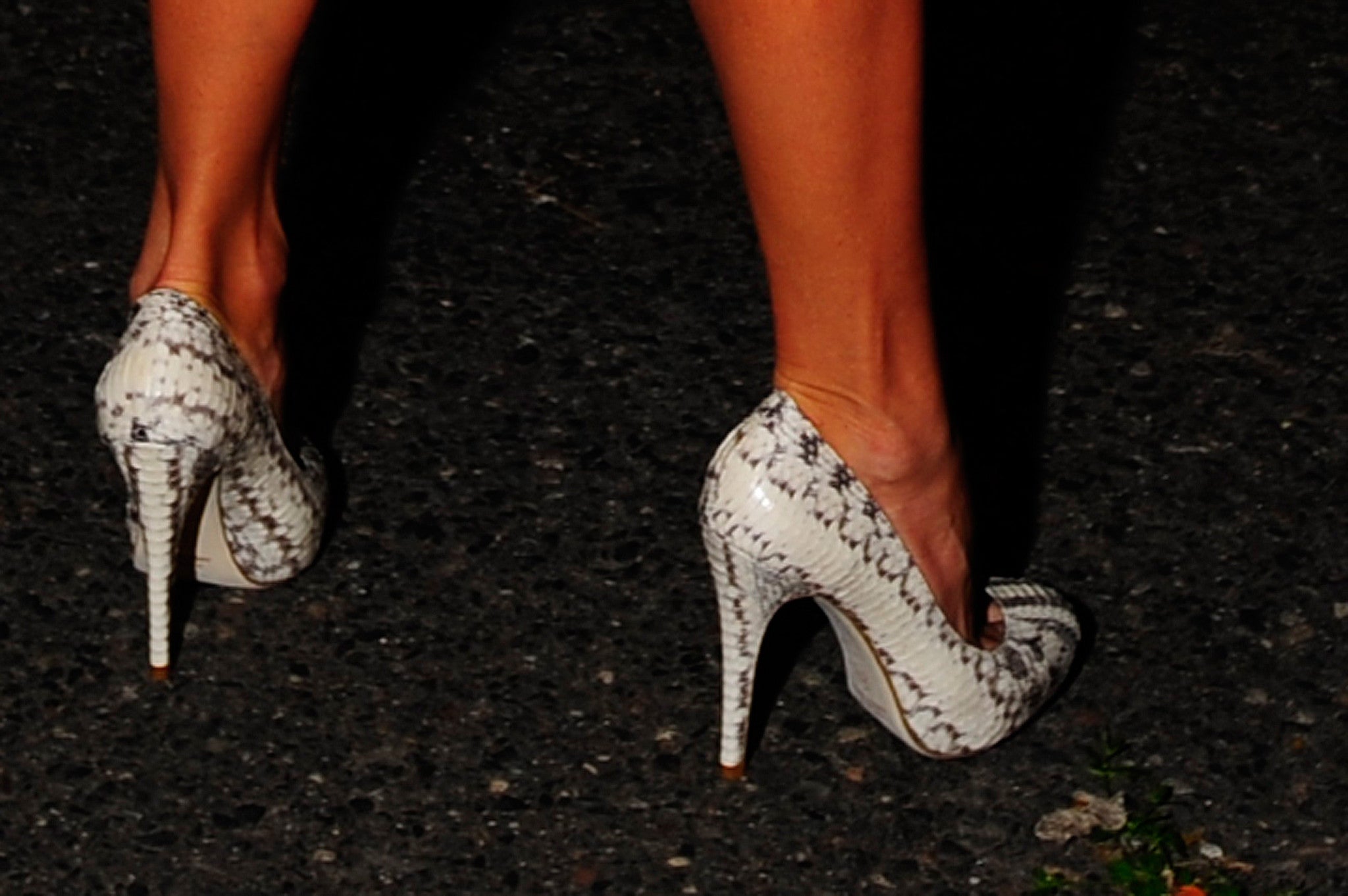 3084 snakeskin heels; white python
